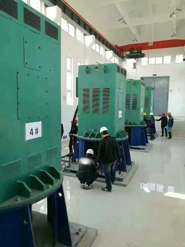霞山某污水处理厂使用我厂的立式高压电机安装现场